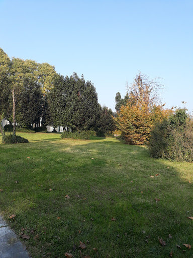 RIELLO GROUP - Visual