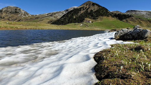 Piani d'Alben - Visual