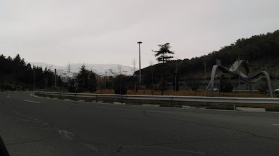 Photos of Lavizan Forest Park