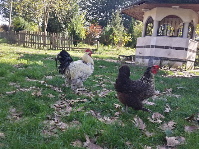 Cumayani Picnic Area