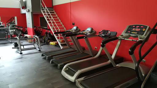 Body Empire - Gym - Thumbnail