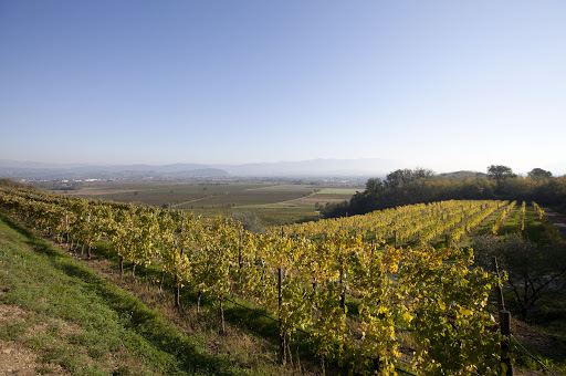 Tenuta Villanova - Visual