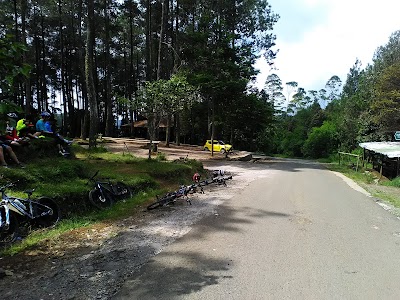 Photos of Orchid Forest Cikole