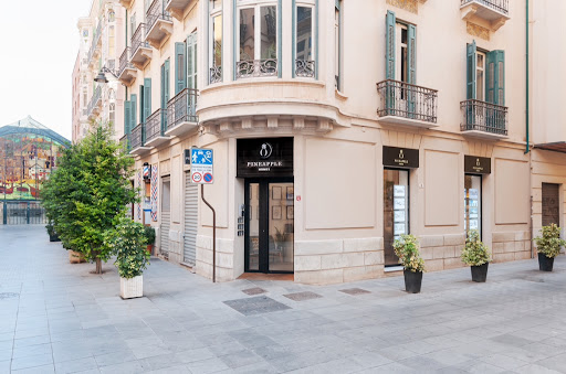 Pineapple Homes Inmobiliaria