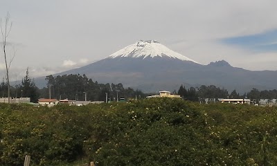 Photos of Licorec S.A.