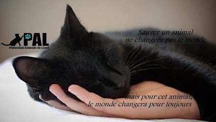 Protection Animale De Lunel (Pal) - refuge pour chats
