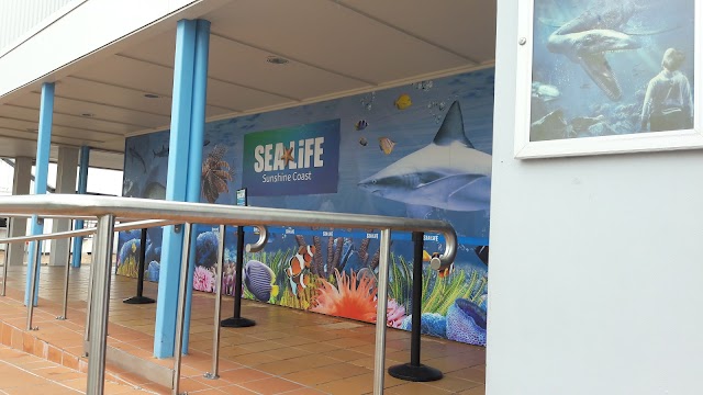 SEA LIFE Sunshine Coast Aquarium