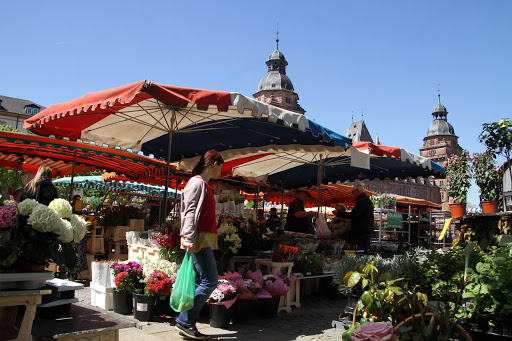 Blumen Fuchs Aschaffenburg - Thumbnail