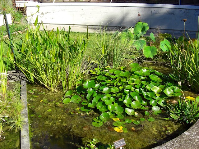Orto Botanico ed Erbario