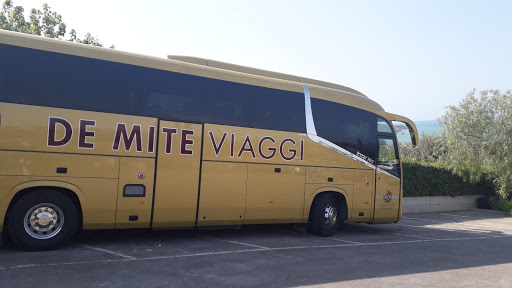 De Mite Viaggi - Visual