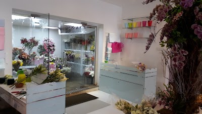 Photos of Lassana Flora (Pvt.) Ltd