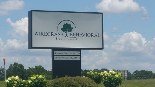 Wiregrass Behavioral Systems - Visual