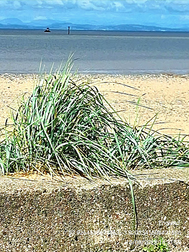 Fleetwood beach - Thumbnail