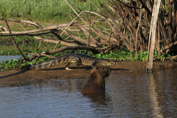 Passo do Lontra Parque Hotel by null