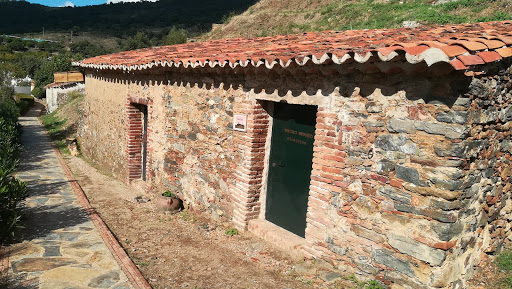 Exposición El Buscador de Setas