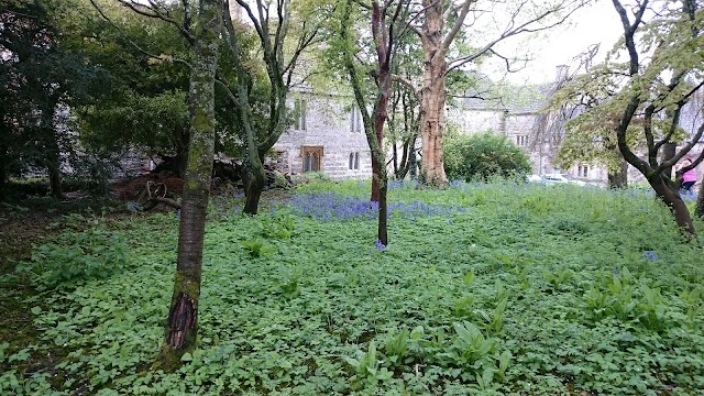 Géant de Cerne Abbas