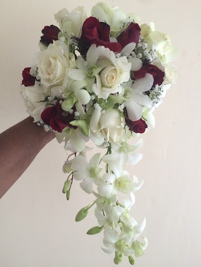 Photos of Pimoosa Flowers