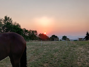 Photo n°3 de ÉCURIE FERRER DEVEZE à Sanssac-l'Église (Agriculteur)