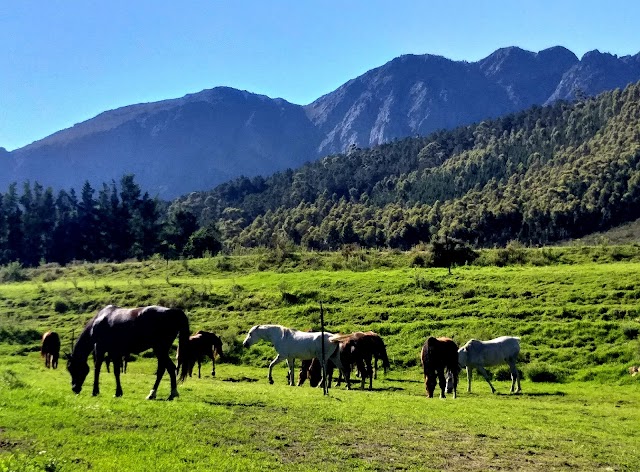 Paradise Cottages and Stables, Franschhoek