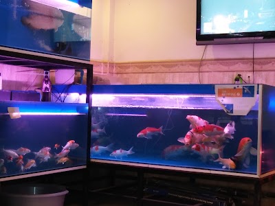 Photos of Rattanak Aquarium Fish Shop