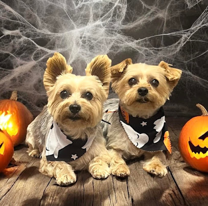 Picture Perfect Grooming, Inc