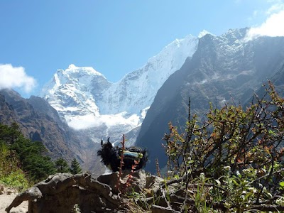Photos of Kangtega