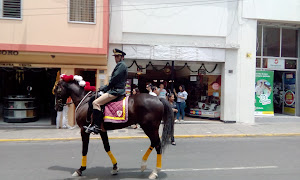 Bata 2 Tacna 9