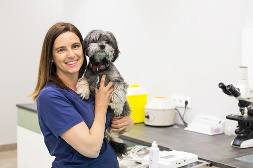 Hospital Veterinario 24h Arca Real