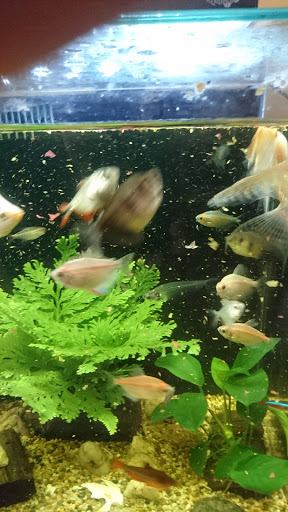 New Katong Aquarium - Thumbnail