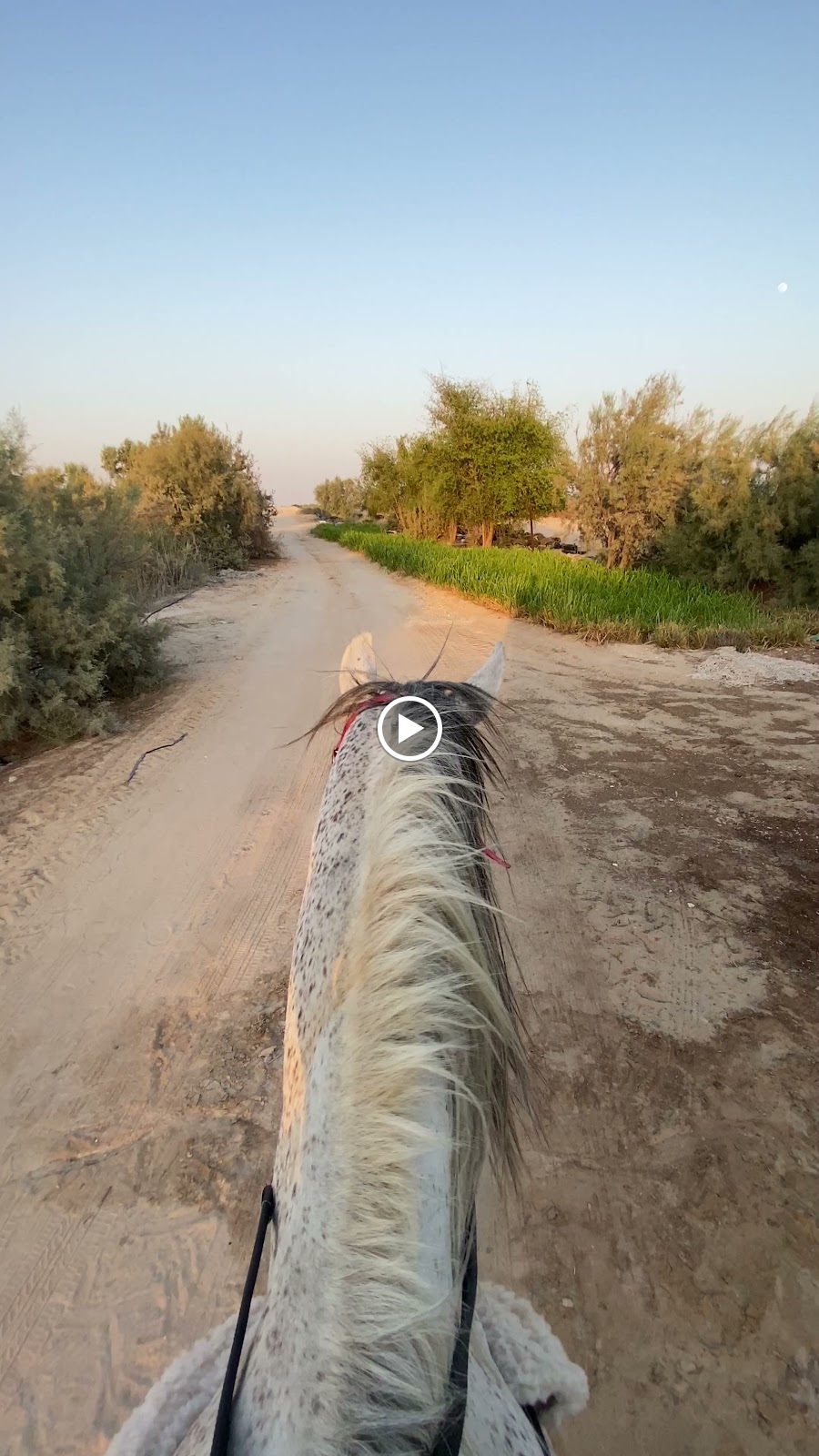 مزرعة موسى السالم - صورة 3