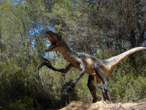 Musée des Dinosaures