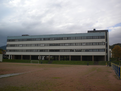 Charleston Academy