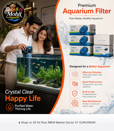 Mohit Aquatic offers quality aquarium filters, aquascaping solutions, exotic fish, birds, and bir… post image