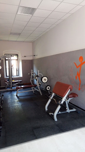Palestra Olympia Snc - Thumbnail