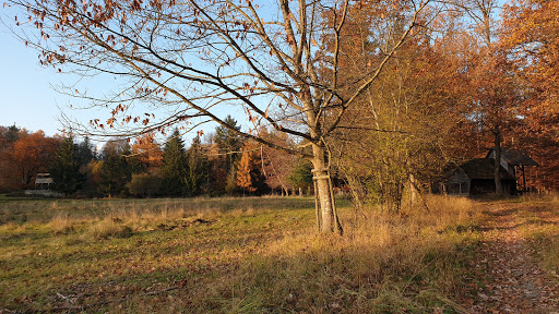 Wildbeobachtungskanzel - Thumbnail