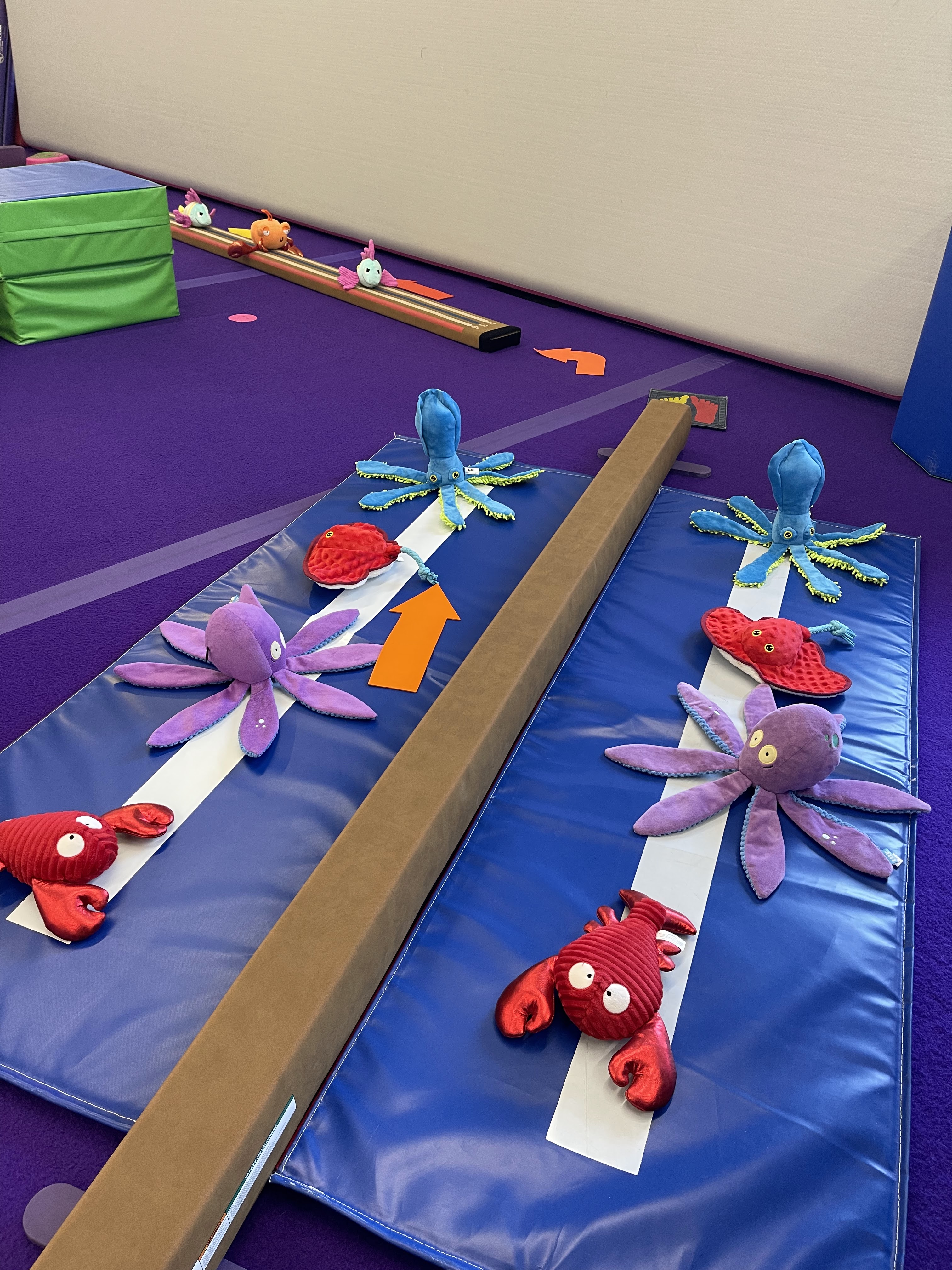 Tumble Bugs Walla Walla Gymnastics & Movement photo 2