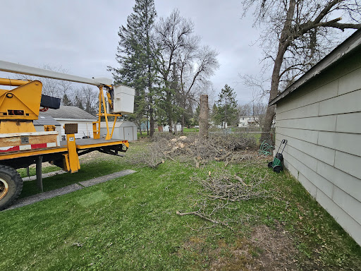 AAA Tree Removal - Thumbnail