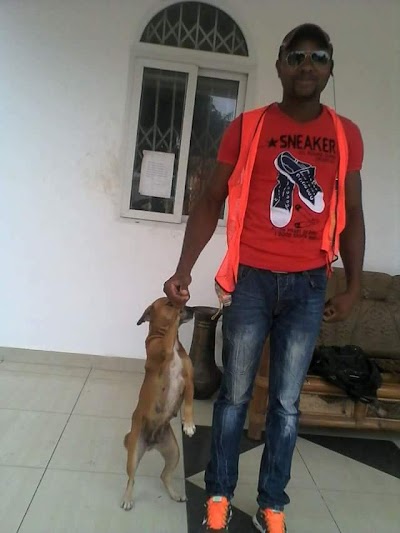 Photos of HOTEL MAWULE