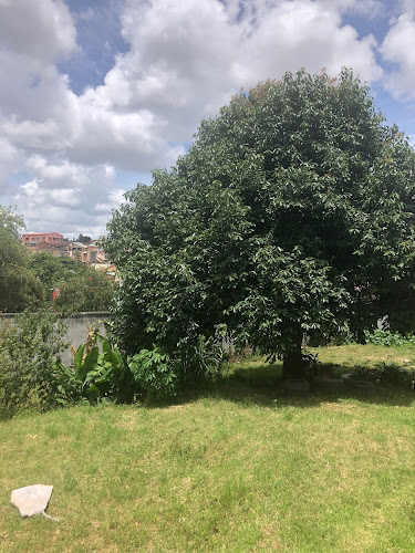 Dipl.-Psych. Nina Weinand