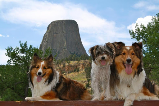 Devils Tower / Black Hills KOA Journey Gallery - United States