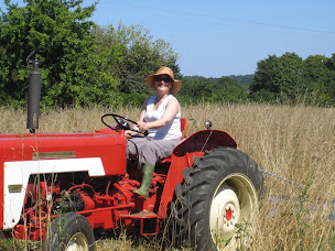 Photo n°11 de Gites des Anges à Saint-Servant (Hébergement d'intérieur)