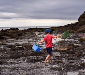 Photo n°15 de CAMPING Le Suroit à Trégunc (Appartement de vacances)