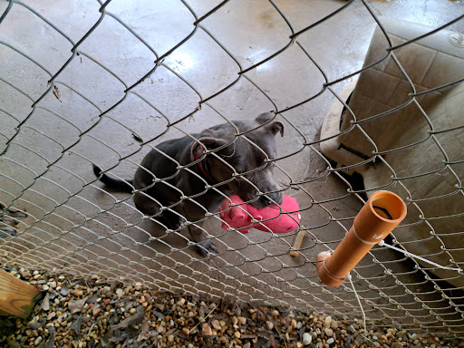 SOS Animal Shelter