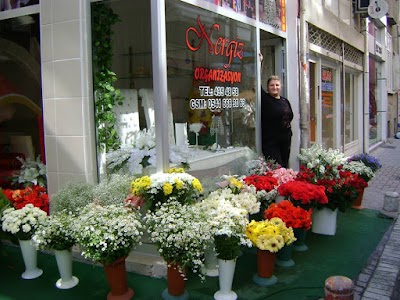 Photos of &Ouml;zge &Ccedil;i&ccedil;ek&ccedil;ilik