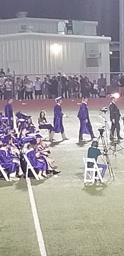 Erwin - Lee Field - Visual