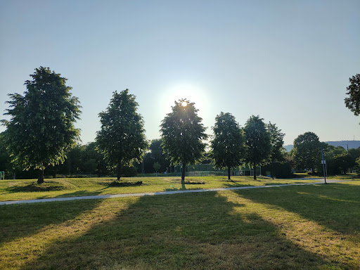 Wasen Park