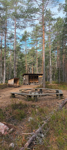 Stadsskogen - Visual