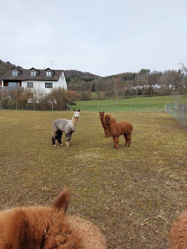 Truppach - Thumbnail