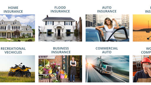 Bermudx Insurance - Thumbnail