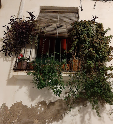 Visit Vilanova - Visual
